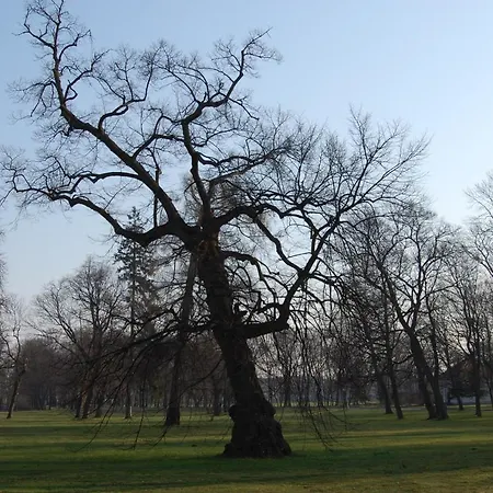Butikowy Palac